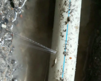 滨湖卫生间测漏水多少钱